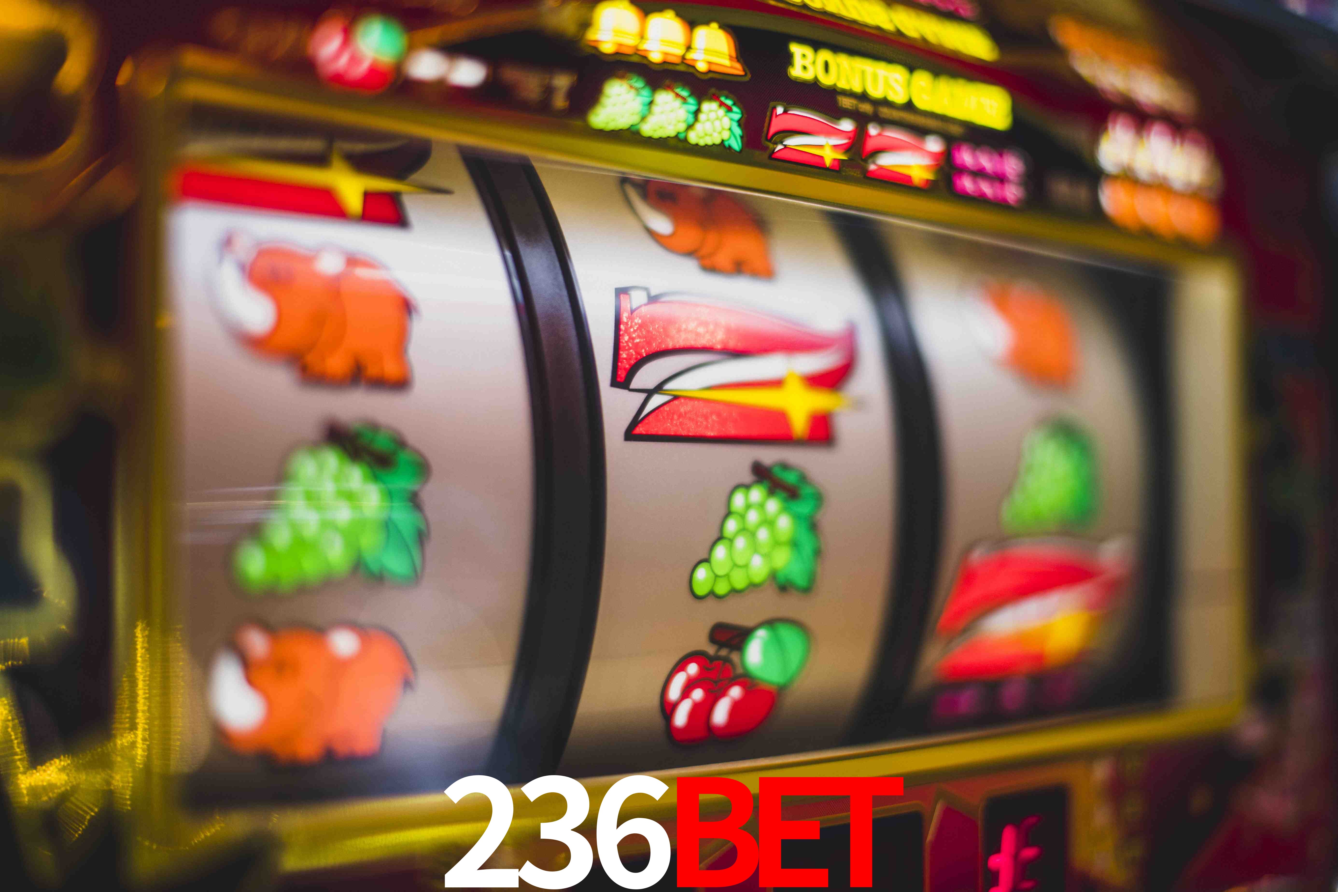 VIP Casino 236BET